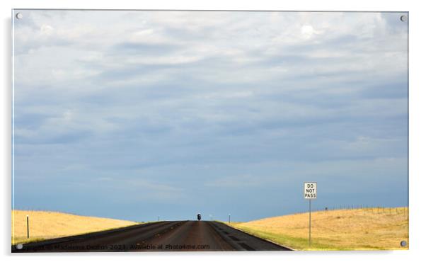 Lone biker on an empty rural road with 'Do Not Pass' sign in the foreground Acrylic by Madeleine Deaton