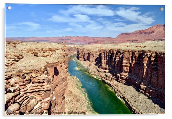 The beautiful Colorado River from Navajo Bridge Acrylic by Madeleine Deaton