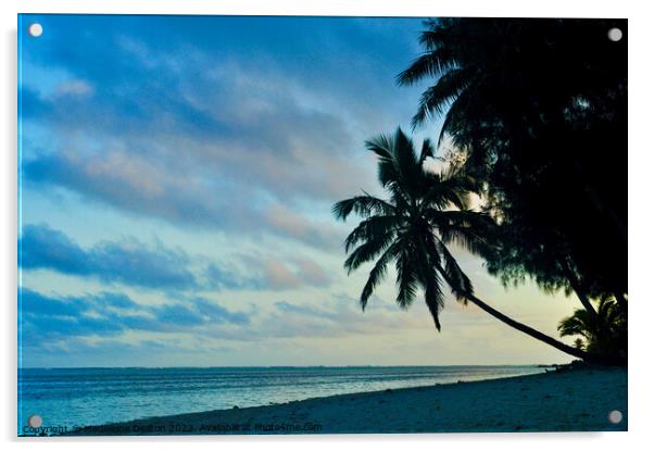 Silhouette of palm tree at dusk on a beach in Rarotonga Acrylic by Madeleine Deaton