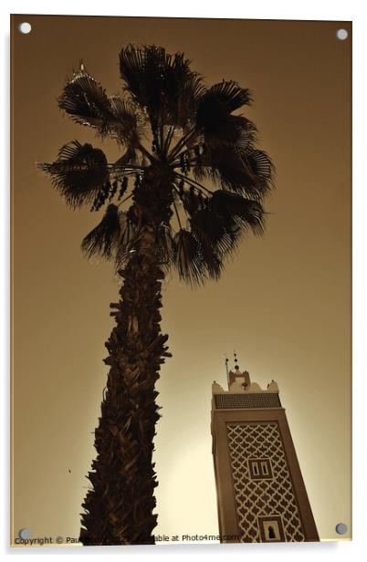 Palm tree and minaret, Taroudant, sepia  Acrylic by Paul Boizot