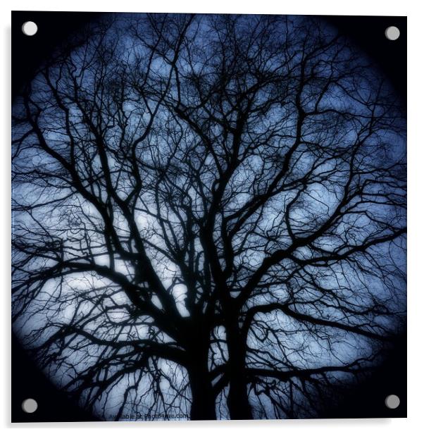Winter beech, Bridlington, dreamy edit Acrylic by Paul Boizot