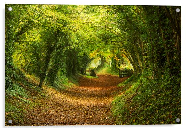 Halnaker Tunnel Up Acrylic by Alan Humphries