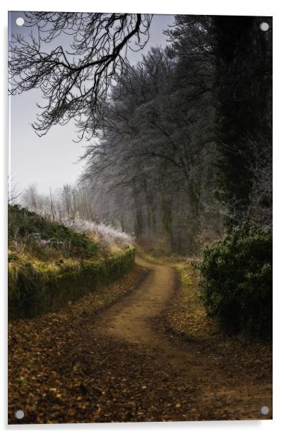 Winter Trail at Linacre Reservoir Acrylic by Simon Gladwin