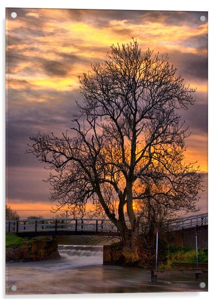 The Tree on the Weir Acrylic by Simon Gladwin