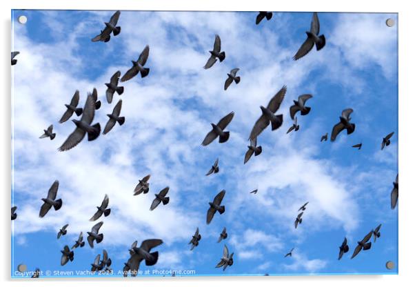 Taking flight Acrylic by Steven Vacher