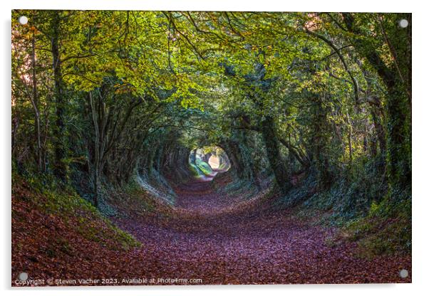 Autumn at Halnaker Tunnel Acrylic by Steven Vacher