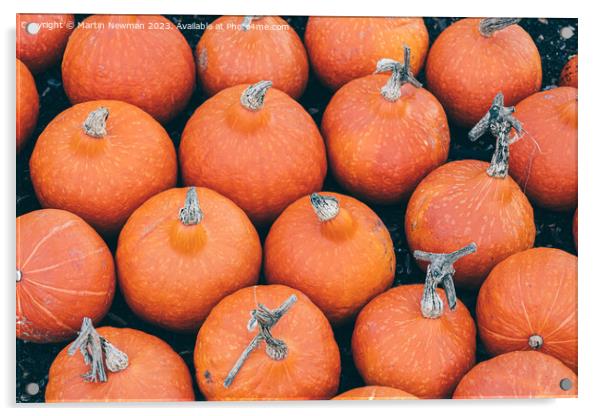 Pumpkin Patch Acrylic by Martin Newman