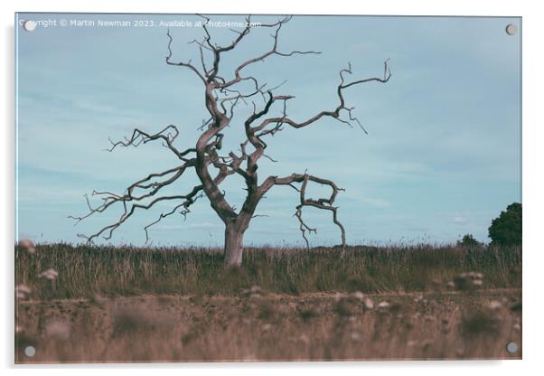 Isolated Tree Acrylic by Martin Newman