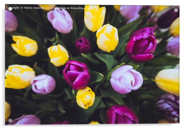 Tulips tulip Acrylic by Martin Newman
