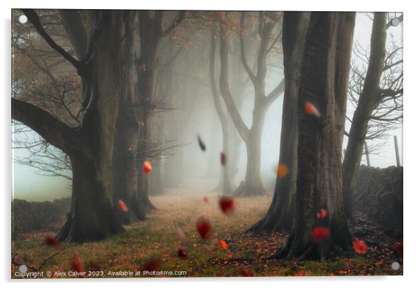 The Autumn Leaves Fall Acrylic by Alex Calver