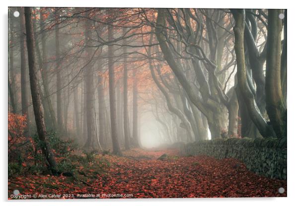 Autumn Pathway Acrylic by Alex Calver