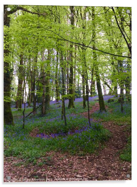 Irish bluebell woods Acrylic by Emma Robertson