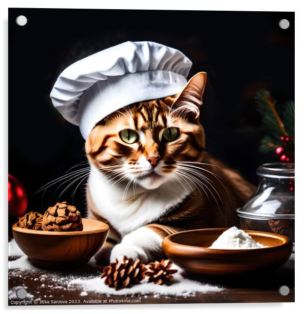 Christmas master chef cat  Acrylic by Jitka Saniova