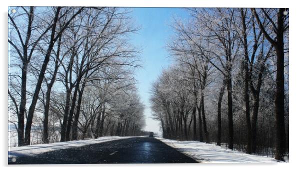 beautiful winter landscape with asphalt road,forest and blue sky Acrylic by Virginija Vaidakaviciene