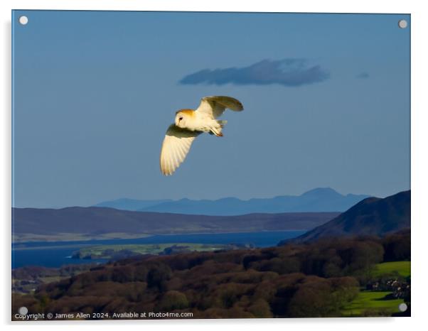 Barn Owl hunting over the Beautiful Lake District National Park Acrylic by James Allen