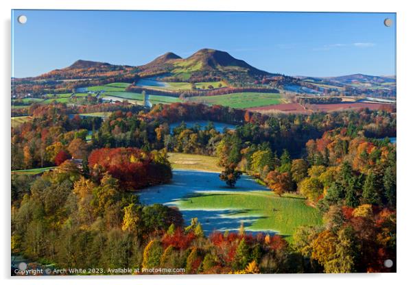 Scott's View looking towards the Eildon Hills near Acrylic by Arch White