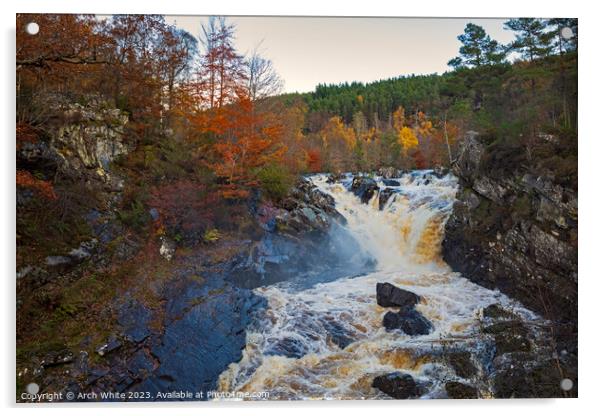 Rogie Falls, Black Water, Strathpeffer, Ross-shire Acrylic by Arch White