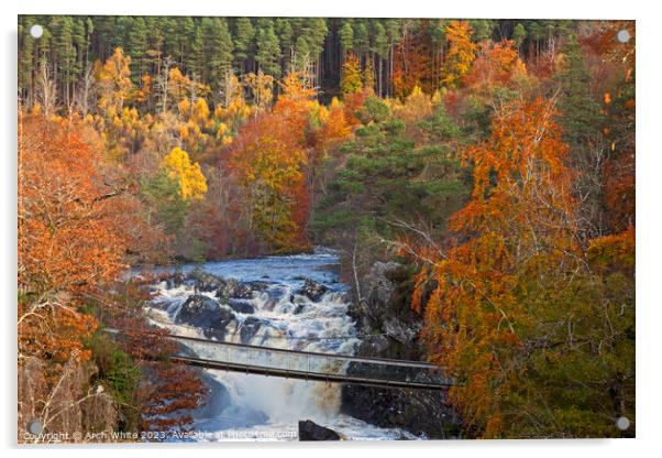 Rogie Falls, with suspension bridge stretching ove Acrylic by Arch White