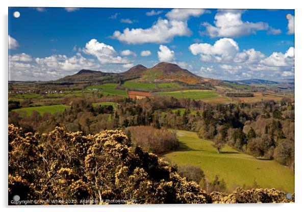 Scott's View, Eildon Hills in background, Melrose, Acrylic by Arch White