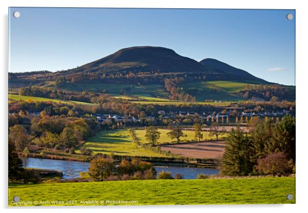 Eildon Hills with River Tweed, Melrose, Scottish B Acrylic by Arch White