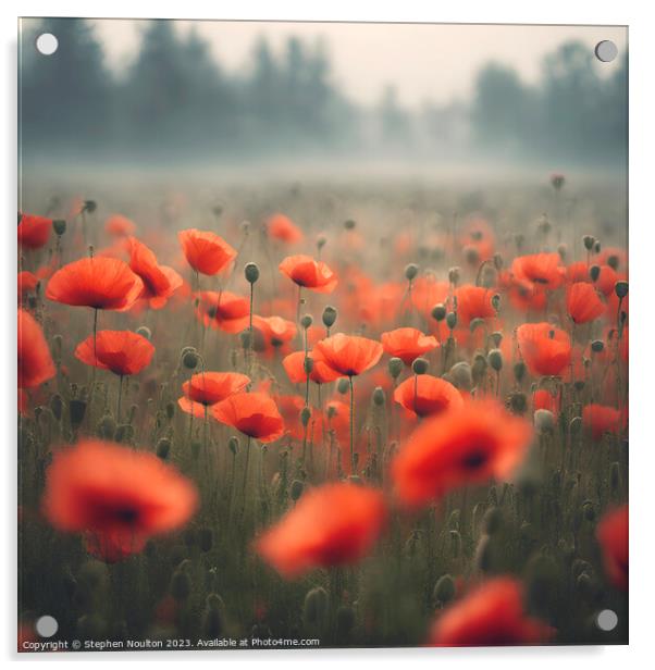 Poppies in the mist  Acrylic by Stephen Noulton