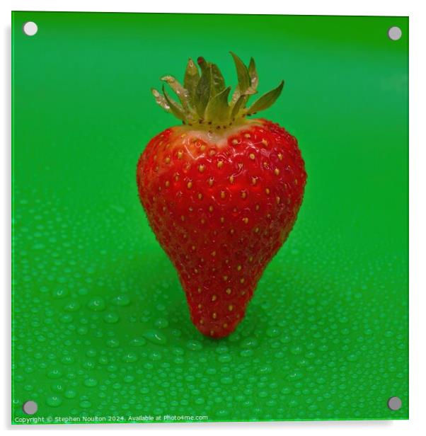 Single Strawberry on Green Background Acrylic by Stephen Noulton