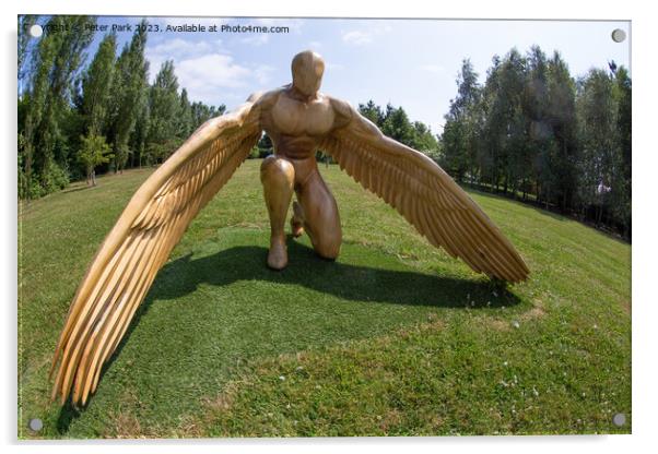 Winged man Acrylic by Peter Park