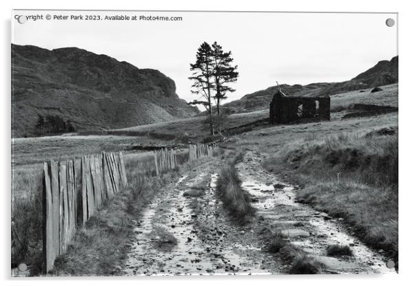 Chapel Cwmorthin in black and white Acrylic by Peter Park
