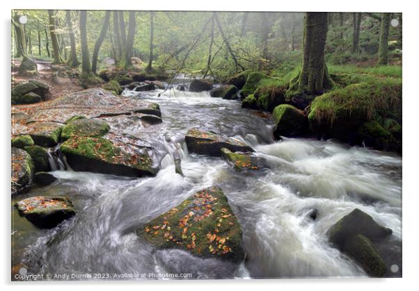 Golitha Falls Cascade Acrylic by Andy Durnin