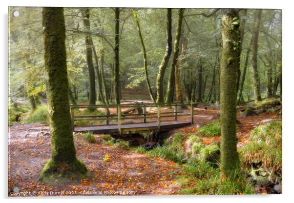 An Autumn Woodland Scene Acrylic by Andy Durnin
