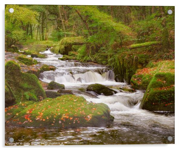 Golitha Falls Autumn  Acrylic by Andy Durnin