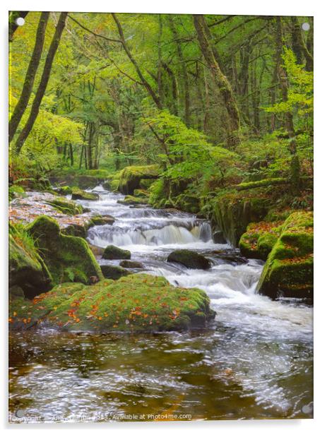 Golitha Falls Autumn 2 Acrylic by Andy Durnin