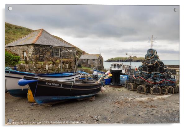 Mullion Cove Harbour Acrylic by Andy Durnin