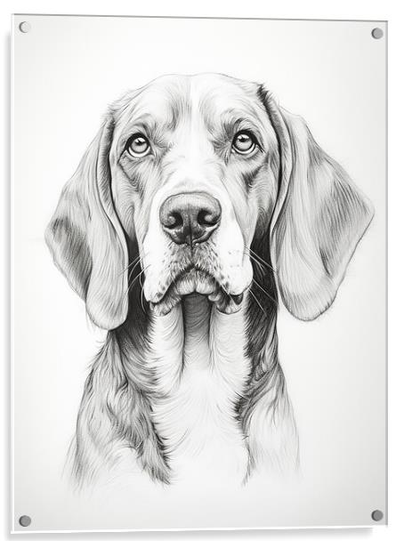 American English Coonhound Pencil Drawing Acrylic by K9 Art