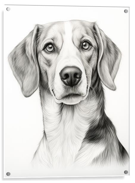 American Foxhound Pencil Drawing Acrylic by K9 Art