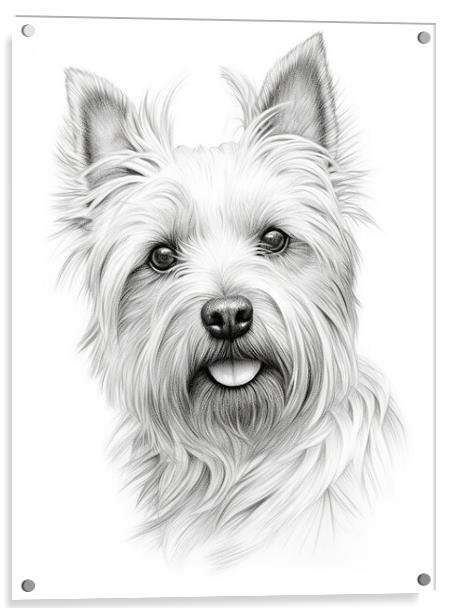 Australian Terrier Pencil Drawing Acrylic by K9 Art