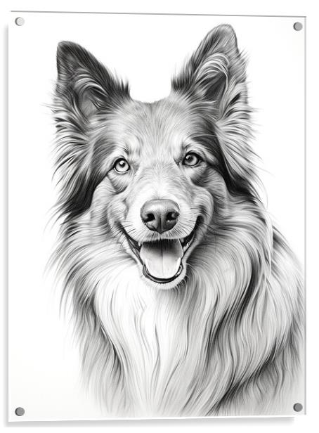 Belgian Sheepdog Pencil Drawing Acrylic by K9 Art