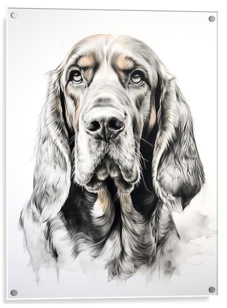 Bloodhound Pencil Drawing Acrylic by K9 Art