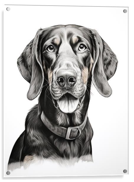 Black And Tan Coonhound Pencil Drawing Acrylic by K9 Art