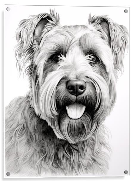 Bouvier Des Flandres Pencil Drawing Acrylic by K9 Art