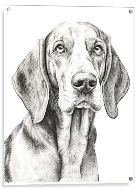 Bavarian Mountain Scent Dog Pencil Drawing Acrylic by K9 Art