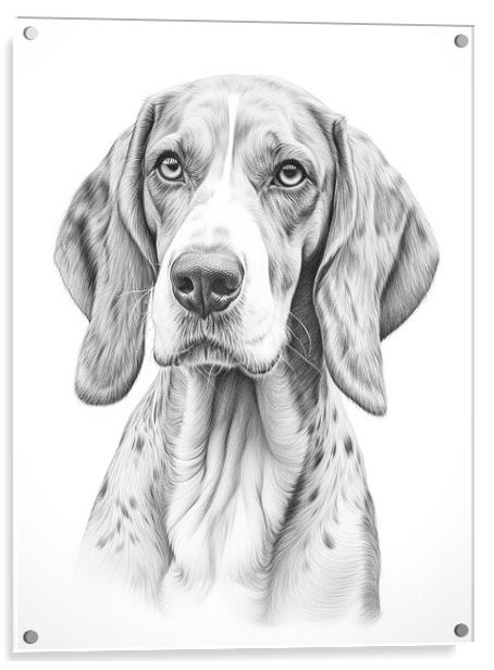 Bavarian Mountain Scent Dog Pencil Drawing Acrylic by K9 Art