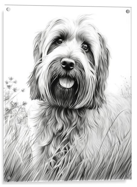 Briard Pencil Drawing Acrylic by K9 Art