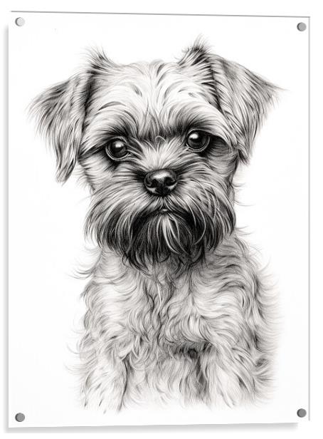 Brussels Griffon Pencil Drawing Acrylic by K9 Art