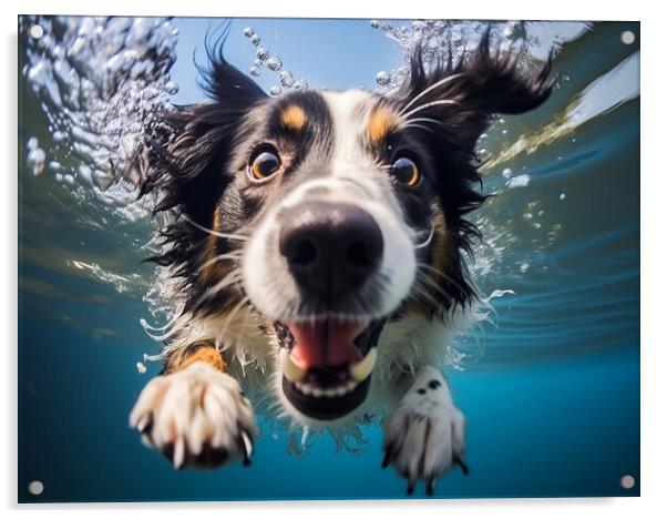 Border Collie Acrylic by K9 Art