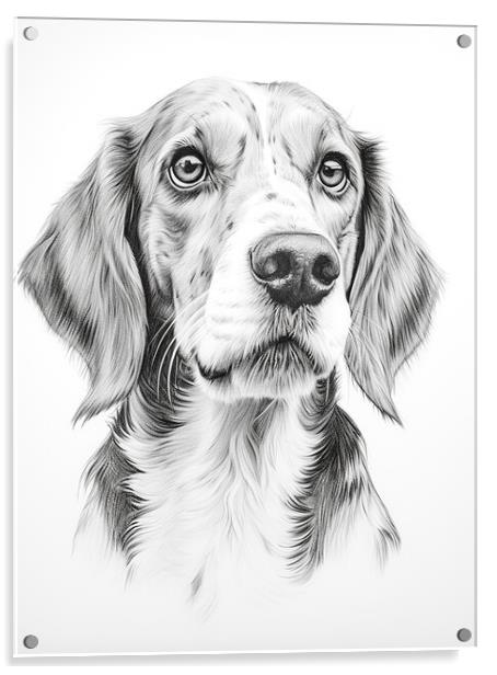 English Foxhound Pencil Drawing Acrylic by K9 Art