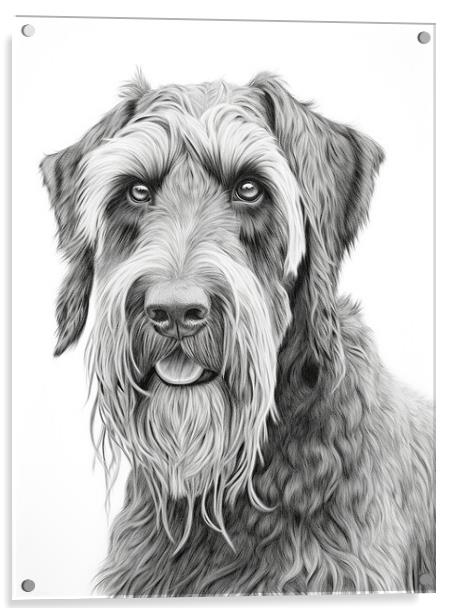 Giant Schnauzer Pencil Drawing Acrylic by K9 Art