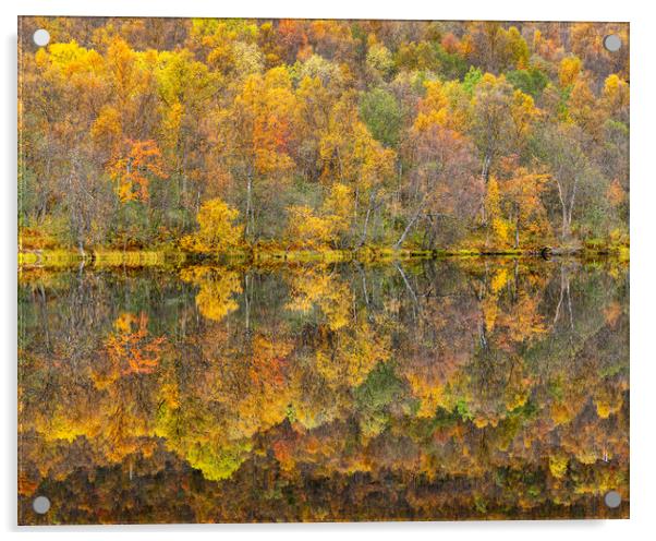 Autumn reflections Acrylic by Robert Canis