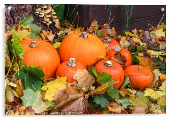 Seven Various Sized Pumpkins Acrylic by Michele Leppier