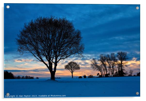 Cold winter sunset at Luddenham, Kent Acrylic by Alan Payton